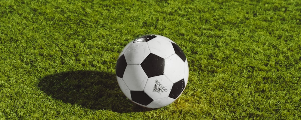 世界杯积分走势分析图示意 - 折线图与数据表格